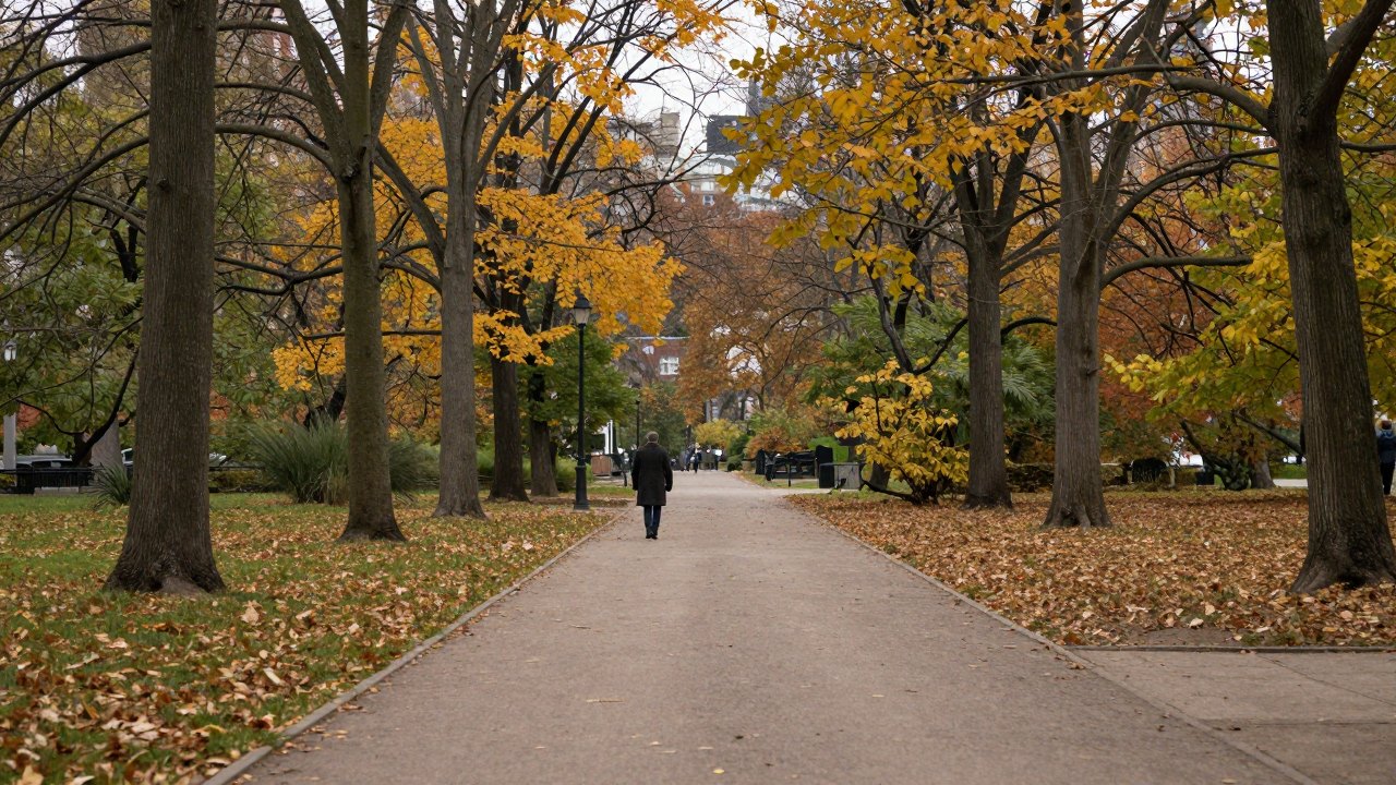 Distant person walking along a tree-lined park path in autumn