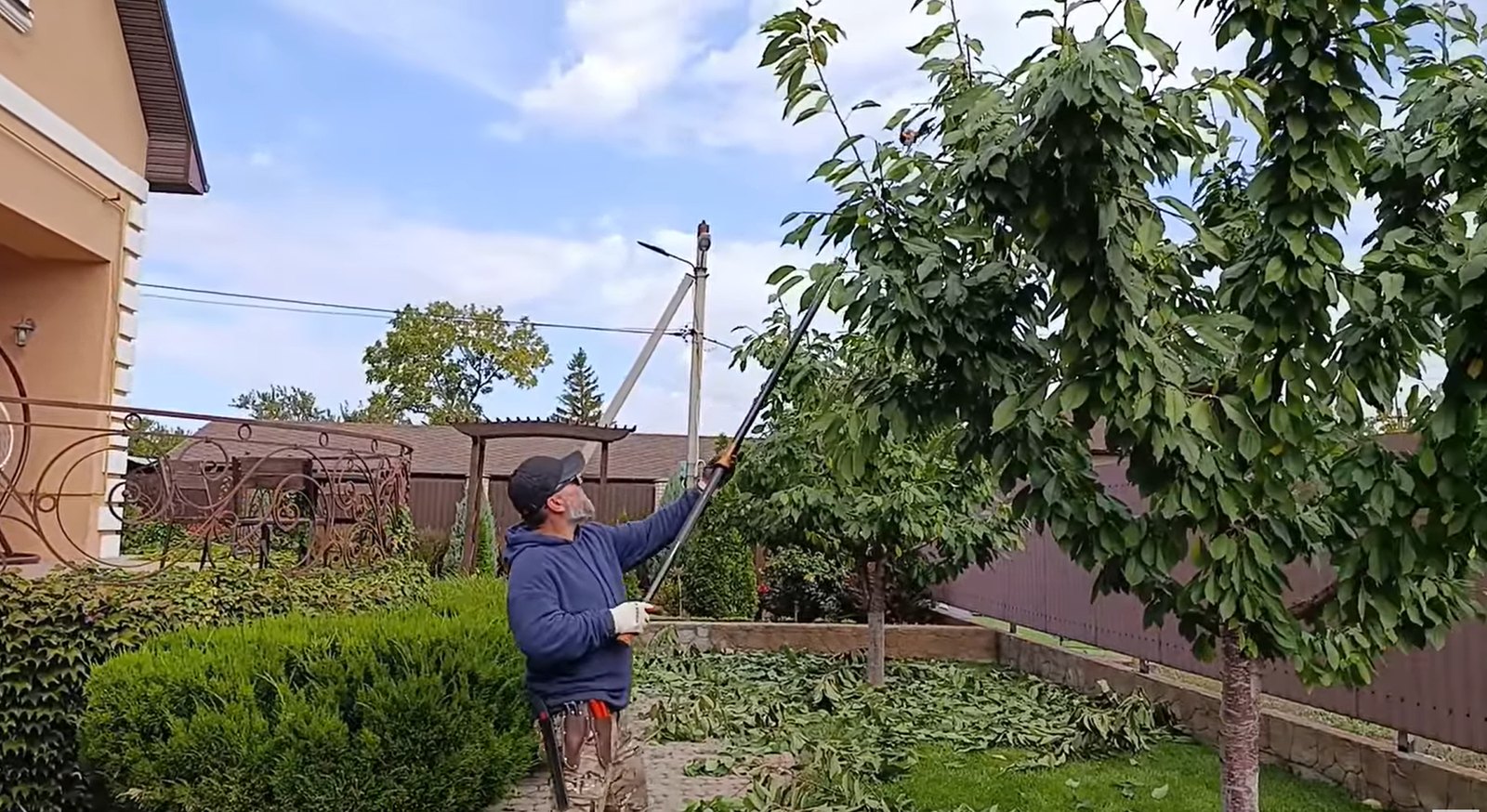 Fruit Tree Pruning Masterclass