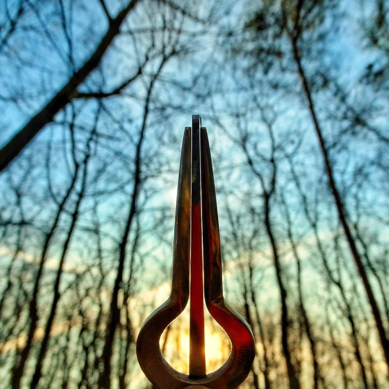 Person holding a jaw harp against bare winter trees at sunset