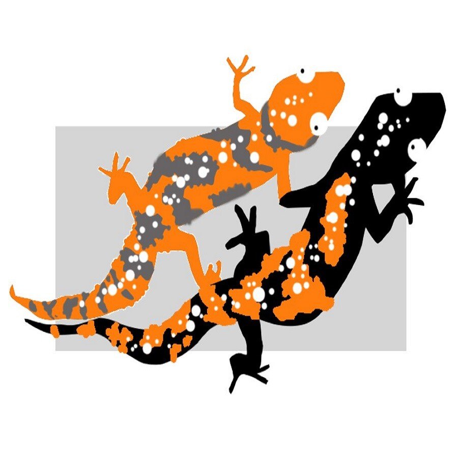 Stylised orange and black illustrated creatures on a grey background