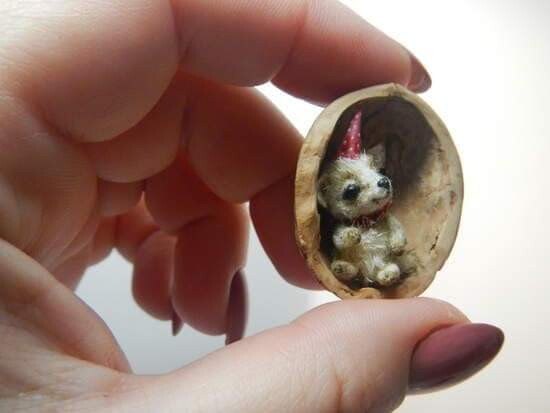 A tiny toy dog wearing a party hat inside a walnut shell held in a hand