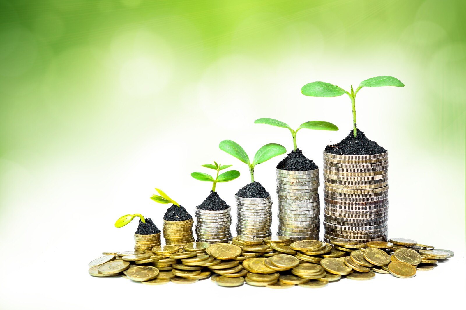 Personal Finance Expert Online