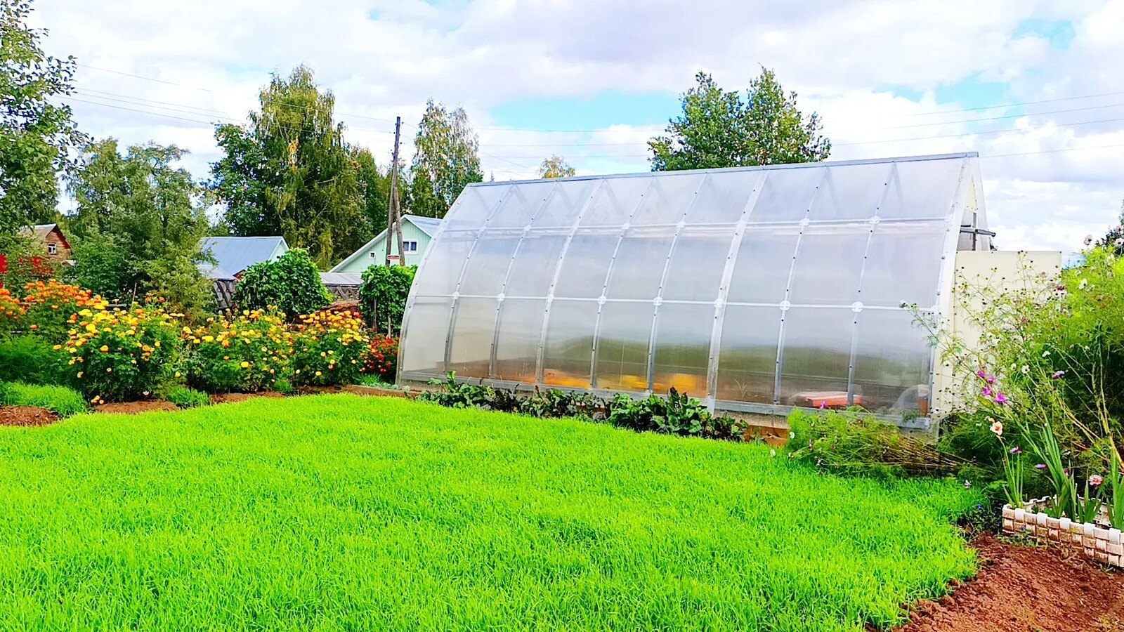 Productive Garden and Vegetable Plot