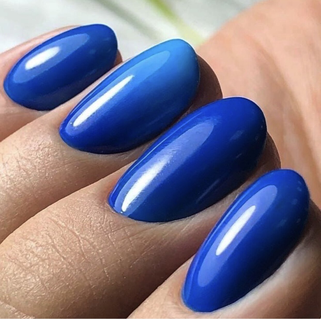 Professional Manicure and Nail Extensions
