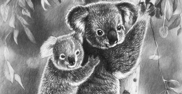 Realistic Wild Animals in Pencil