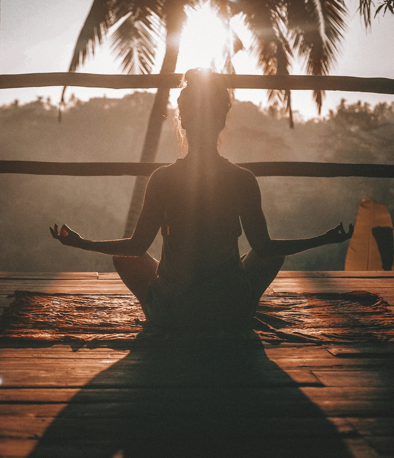 Zdravushka: Body and Mind System for a Healthy Spine