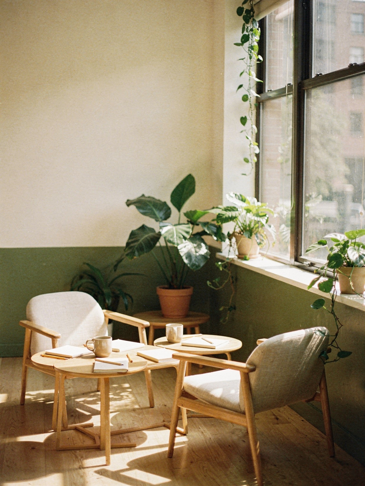 Sunlit room with two chairs, notebooks, mugs and green plants by a window